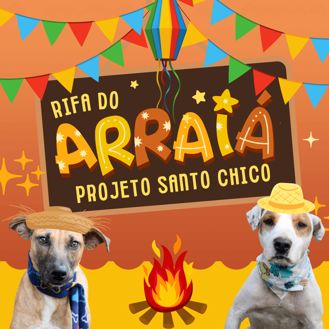 1ª imagem da campanha