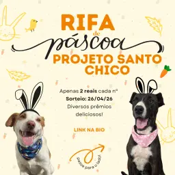 Rifa de Páscoa Projeto Santo Chico