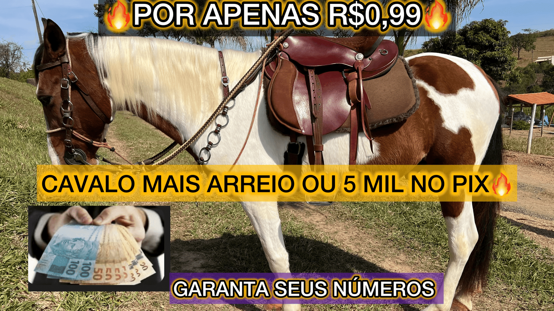1ª imagem da campanha