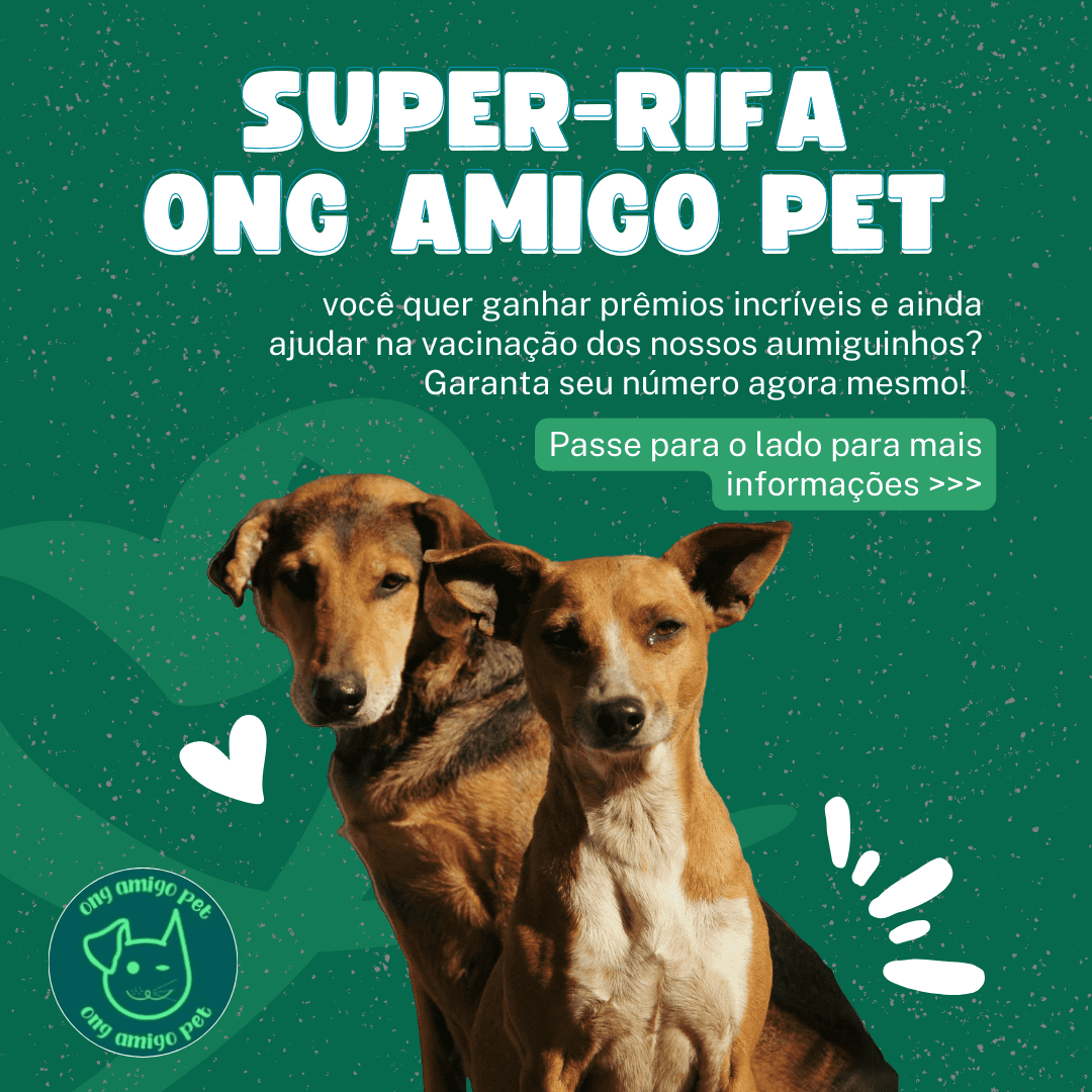 1ª imagem da campanha