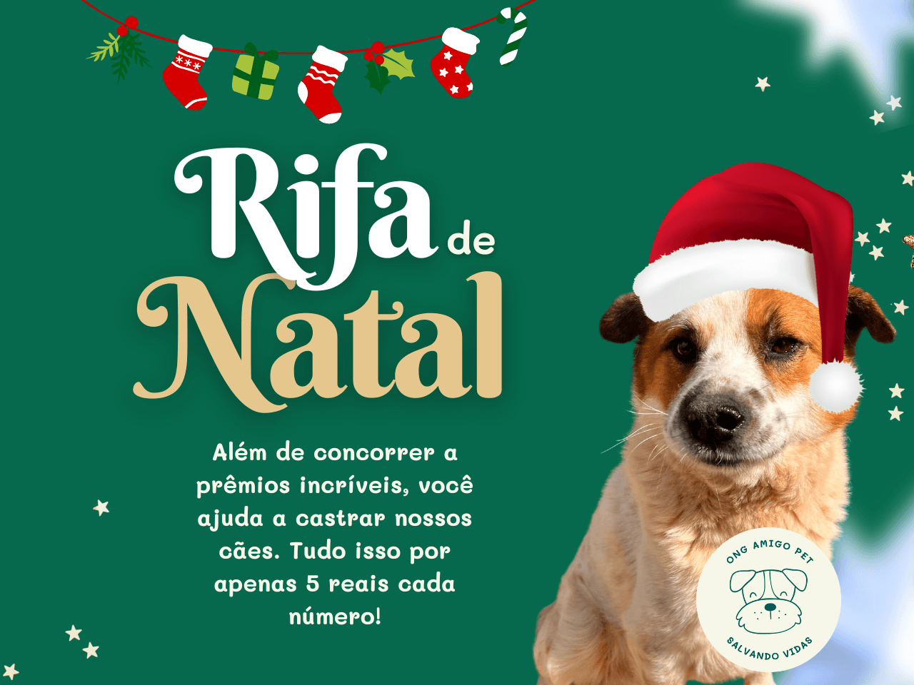 1ª imagem da campanha