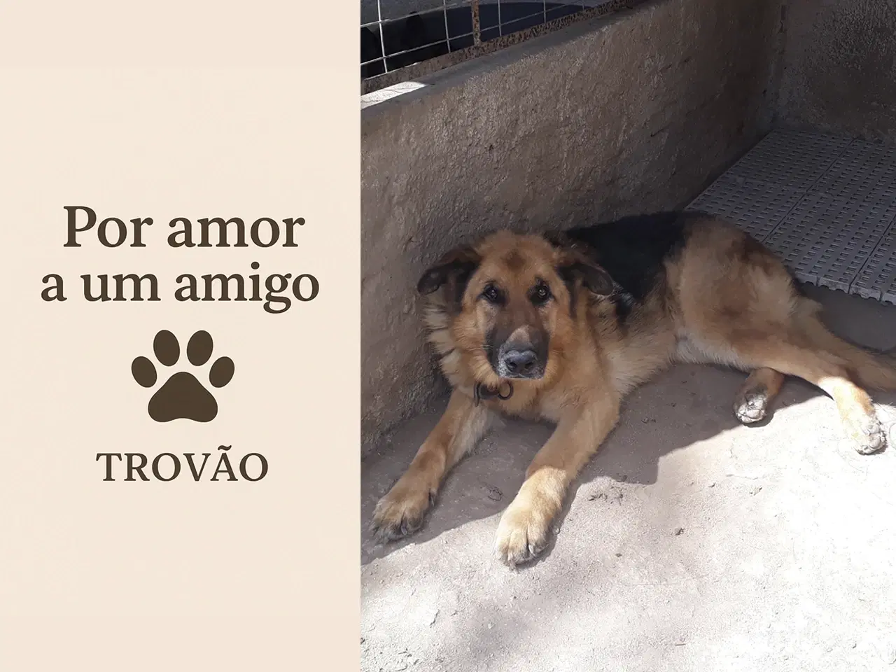 1ª imagem da campanha