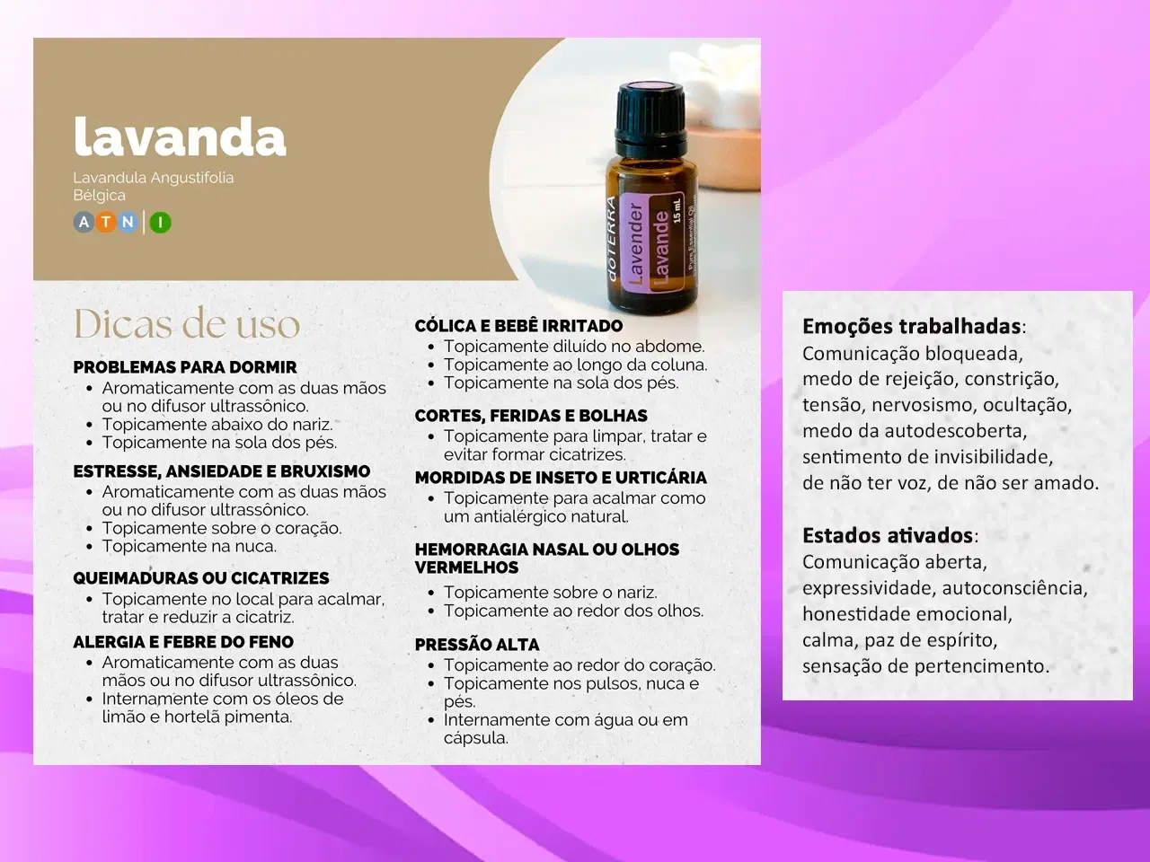 4ª imagem da campanha