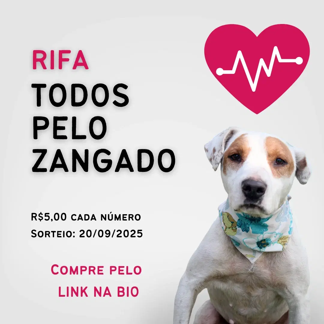 1ª imagem da campanha